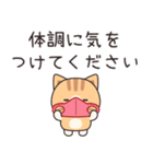 優しさいっぱいのトラネコさん6 飛び出す（個別スタンプ：12）