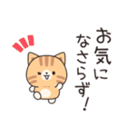 優しさいっぱいのトラネコさん6 飛び出す（個別スタンプ：17）