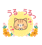 優しさいっぱいのトラネコさん6 飛び出す（個別スタンプ：21）