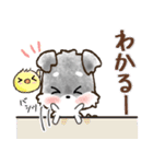 愛犬家のわんこ♡シュナウザー/毎日（個別スタンプ：10）