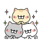 ずっと使える★ネコのお誕生日＆お祝い（個別スタンプ：10）