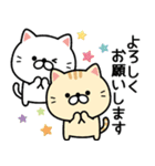 ずっと使える★ネコのお誕生日＆お祝い（個別スタンプ：14）