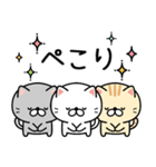ずっと使える★ネコのお誕生日＆お祝い（個別スタンプ：16）