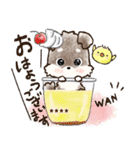 【カスタム】愛犬家のわんこと判子☆シュナ（個別スタンプ：2）