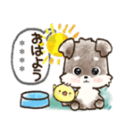 【カスタム】愛犬家のわんこと判子☆シュナ（個別スタンプ：3）