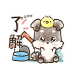 【カスタム】愛犬家のわんこと判子☆シュナ（個別スタンプ：12）