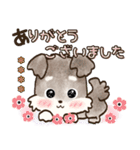 【カスタム】愛犬家のわんこと判子☆シュナ（個別スタンプ：20）