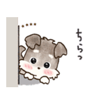 【カスタム】愛犬家のわんこと判子☆シュナ（個別スタンプ：25）