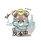 【カスタム】愛犬家のわんこと判子☆シュナ（個別スタンプ：29）