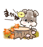 【カスタム】愛犬家のわんこと判子☆シュナ（個別スタンプ：40）