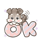 愛犬家のわんこ♡シュナウザー【毎日】（個別スタンプ：1）