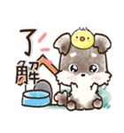 愛犬家のわんこ♡シュナウザー【毎日】（個別スタンプ：2）