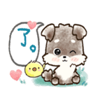 愛犬家のわんこ♡シュナウザー【毎日】（個別スタンプ：3）
