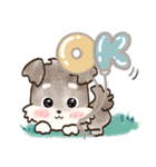 愛犬家のわんこ♡シュナウザー【毎日】（個別スタンプ：4）