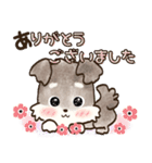 愛犬家のわんこ♡シュナウザー【毎日】（個別スタンプ：7）