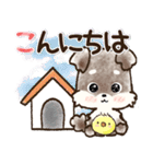 愛犬家のわんこ♡シュナウザー【毎日】（個別スタンプ：9）