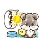 愛犬家のわんこ♡シュナウザー【毎日】（個別スタンプ：10）