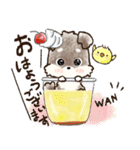 愛犬家のわんこ♡シュナウザー【毎日】（個別スタンプ：11）