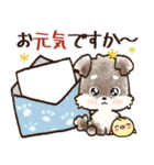 愛犬家のわんこ♡シュナウザー【毎日】（個別スタンプ：12）