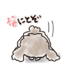 愛犬家のわんこ♡シュナウザー【毎日】（個別スタンプ：13）