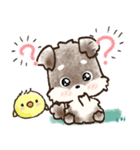 愛犬家のわんこ♡シュナウザー【毎日】（個別スタンプ：17）