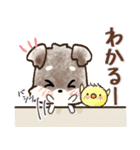 愛犬家のわんこ♡シュナウザー【毎日】（個別スタンプ：19）