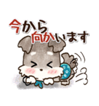 愛犬家のわんこ♡シュナウザー【毎日】（個別スタンプ：22）