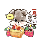 愛犬家のわんこ♡シュナウザー【毎日】（個別スタンプ：25）