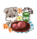 愛犬家のわんこ♡シュナウザー【毎日】（個別スタンプ：26）