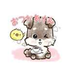 愛犬家のわんこ♡シュナウザー【毎日】（個別スタンプ：28）