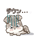 愛犬家のわんこ♡シュナウザー【毎日】（個別スタンプ：31）