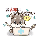 愛犬家のわんこ♡シュナウザー【毎日】（個別スタンプ：32）