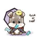 愛犬家のわんこ♡シュナウザー【毎日】（個別スタンプ：34）