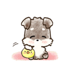 愛犬家のわんこ♡シュナウザー【毎日】（個別スタンプ：39）