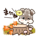 愛犬家のわんこ♡シュナウザー【毎日】（個別スタンプ：40）