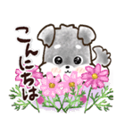 愛犬家のわんこ♡ふんわり優しい【挨拶】（個別スタンプ：4）