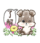 愛犬家のわんこ♡ふんわり優しい【挨拶】（個別スタンプ：6）