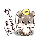 愛犬家のわんこ♡ふんわり優しい【挨拶】（個別スタンプ：7）
