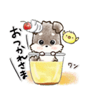 愛犬家のわんこ♡ふんわり優しい【挨拶】（個別スタンプ：11）