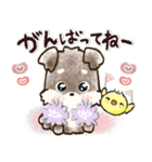 愛犬家のわんこ♡ふんわり優しい【挨拶】（個別スタンプ：18）