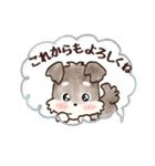 愛犬家のわんこ♡ふんわり優しい【挨拶】（個別スタンプ：24）