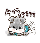 愛犬家のわんこ♡ふんわり優しい【挨拶】（個別スタンプ：25）