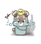 愛犬家のわんこ♡ふんわり優しい【挨拶】（個別スタンプ：30）