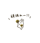 うさぎだけ。みんなで使える。連絡。（個別スタンプ：19）