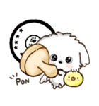 【カスタム】愛犬家のわんこと判子♡シロ（個別スタンプ：12）