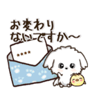 【カスタム】愛犬家のわんこと判子♡シロ（個別スタンプ：20）