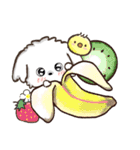 愛犬家さんのわんこ♡マルチーズ【挨拶】（個別スタンプ：4）