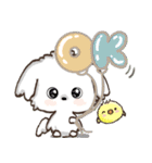 愛犬家さんのわんこ♡マルチーズ【挨拶】（個別スタンプ：6）
