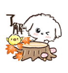愛犬家さんのわんこ♡マルチーズ【挨拶】（個別スタンプ：7）