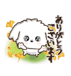 愛犬家さんのわんこ♡マルチーズ【挨拶】（個別スタンプ：9）